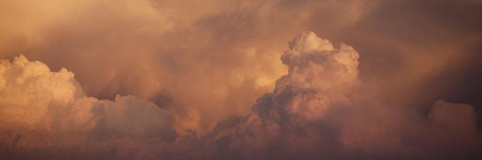 Bailey Parsons banner