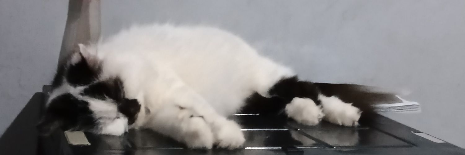 Mimimatcha23's profile banner image