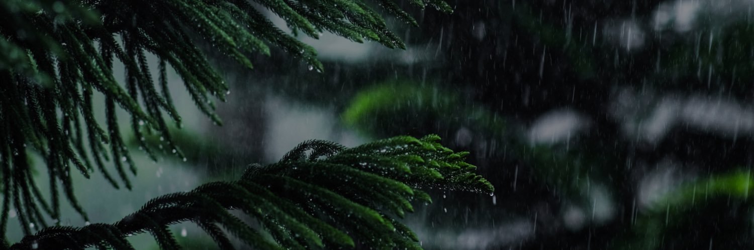 ravicpang's profile banner image