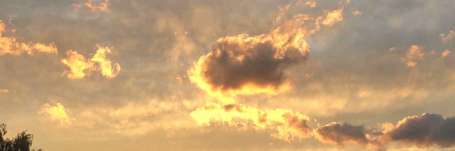 DOMMMY01's profile banner image