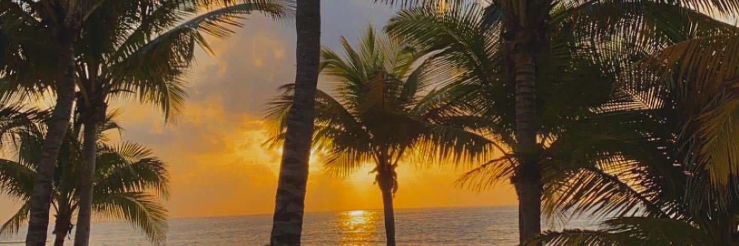 ashxleye's profile banner image
