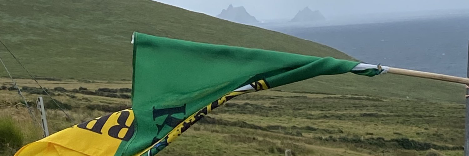Mícheál Lehane's banner