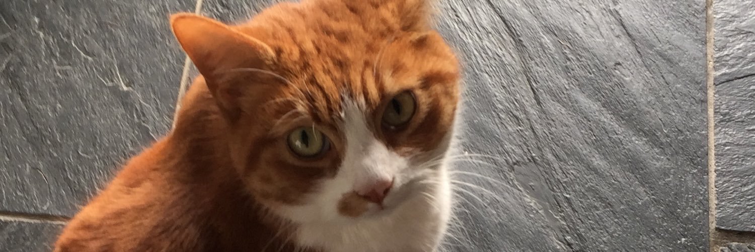 McCartneyMaxwel's profile banner image