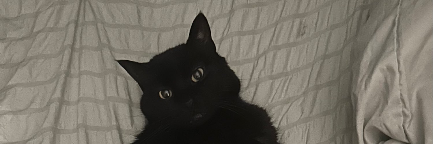 annabaehr's profile banner image