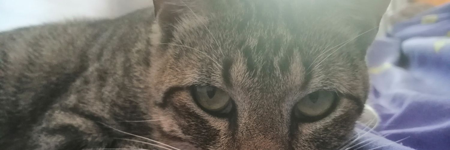 jonaacabrera4's profile banner image