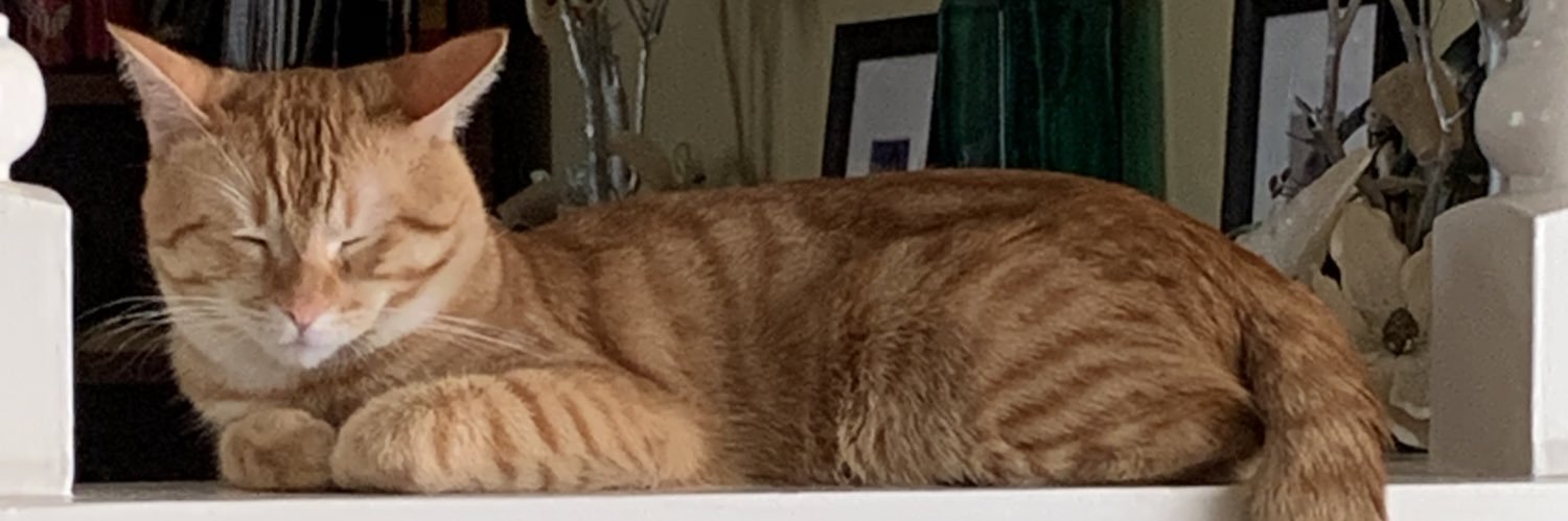 jfc_axel's profile banner image