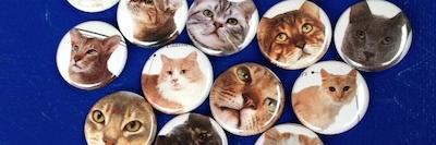 _catbuttons's profile banner image