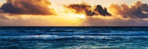 shyyyyyann's profile banner image