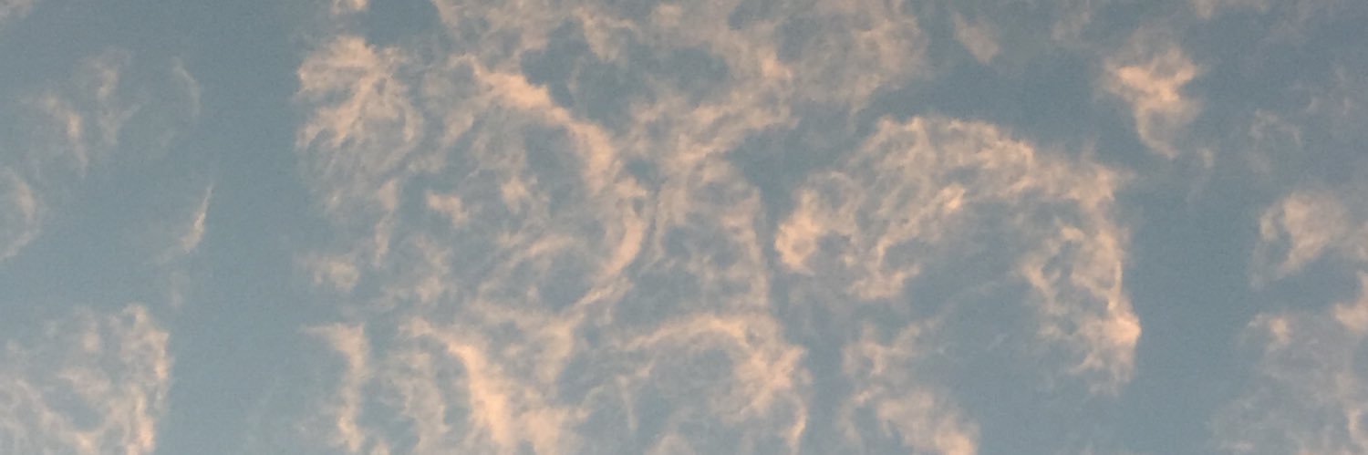 JuliaMRussi's profile banner image