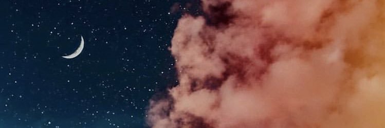 WildDUH's profile banner image