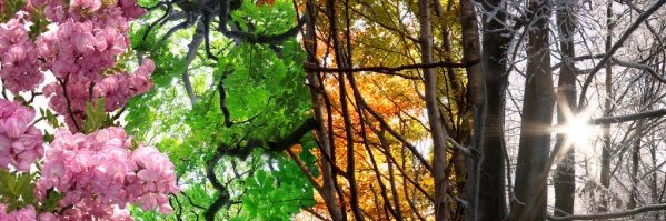 Call_Me_Purdyyy's profile banner image