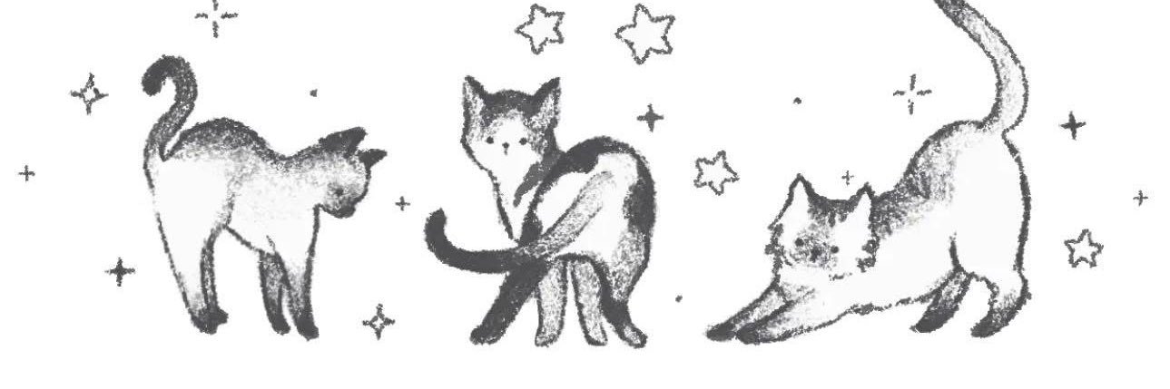 Lunarfox_'s profile banner image