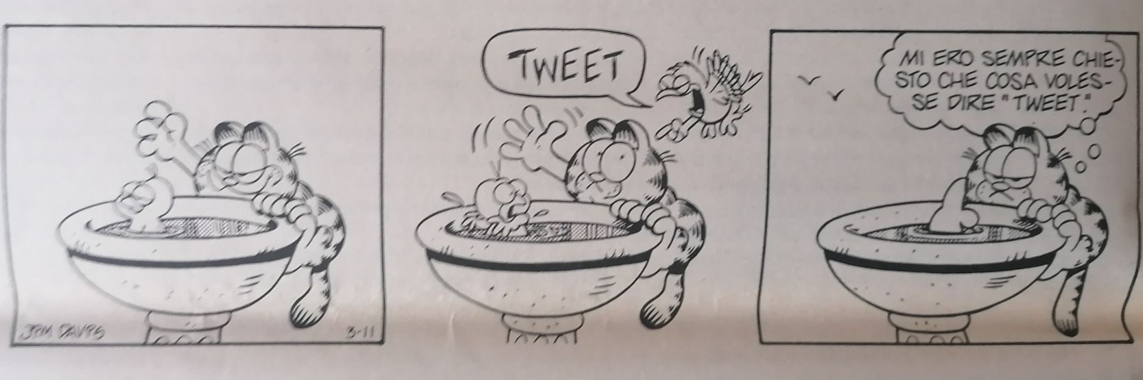 enrico cicchetti banner