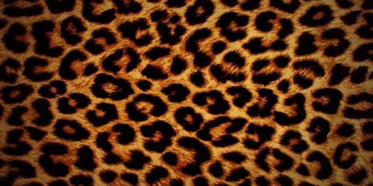 FizaLovee's profile banner image