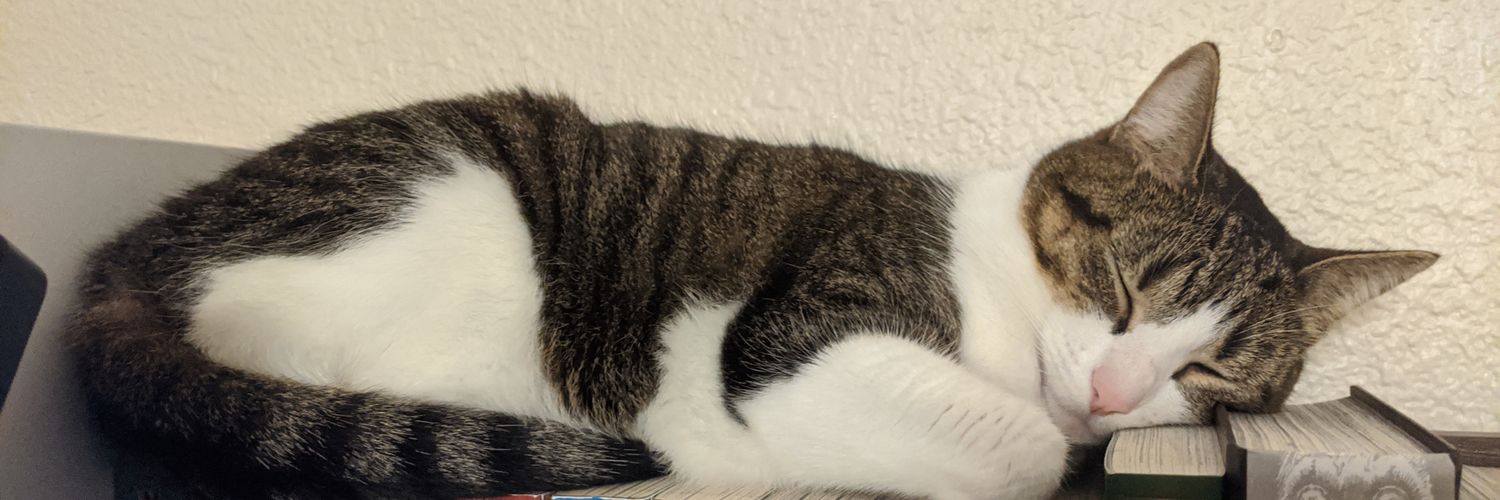 AnthonyQJJ's profile banner image