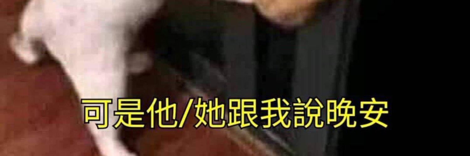 zch2468's profile banner image