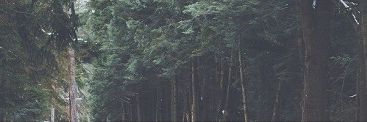 IrwinftNarry_'s profile banner image