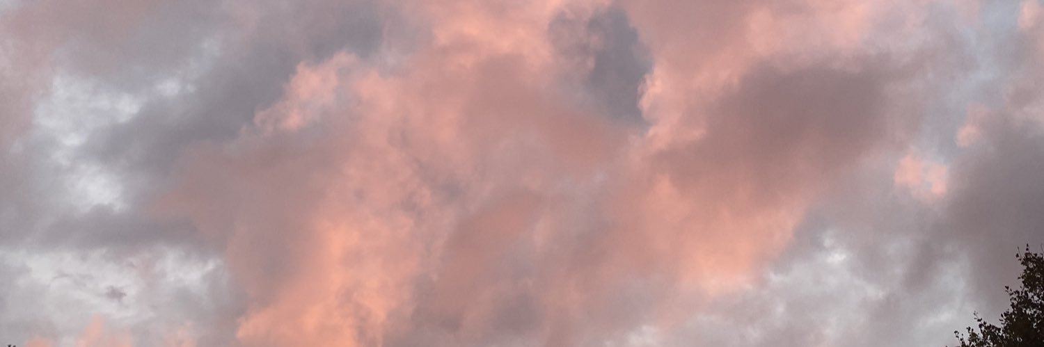 beanprincess27's profile banner image