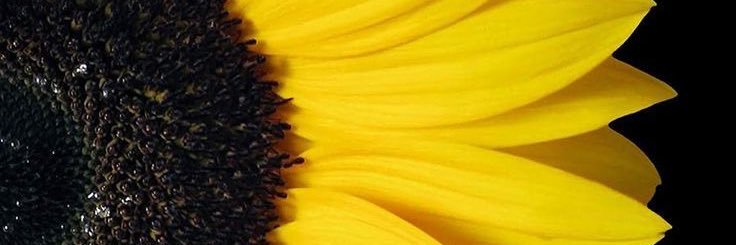 Aaronchuperfect's profile banner image