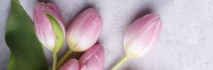 BrisaC_14's profile banner image