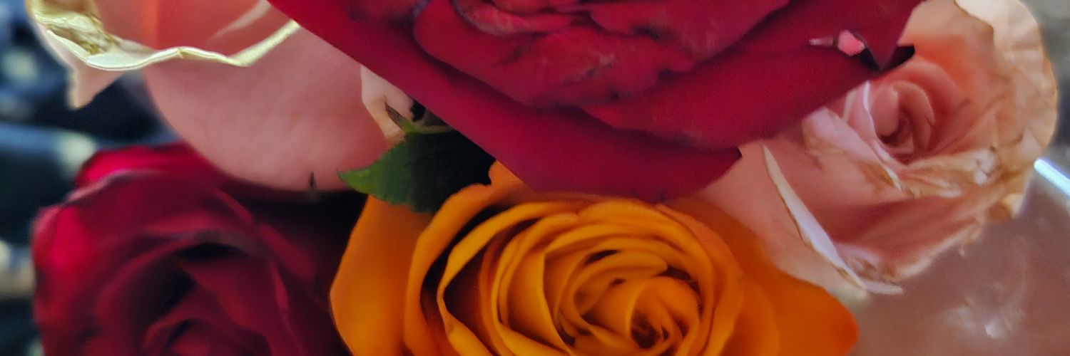 mia26JS's profile banner image