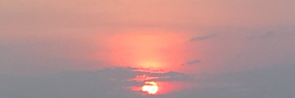 LilZash's profile banner image