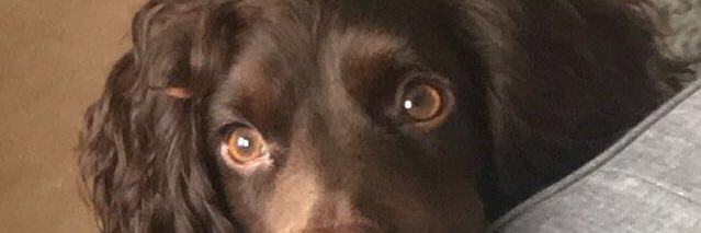 jaslgx's profile banner image