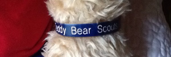 TeddyBearScouts Profile Banner
