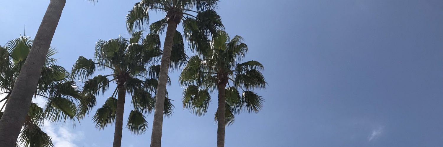tsk___73's profile banner image