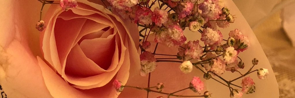 amalll1419's profile banner image
