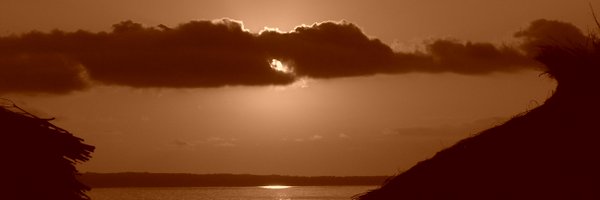 clementinaz Profile Banner