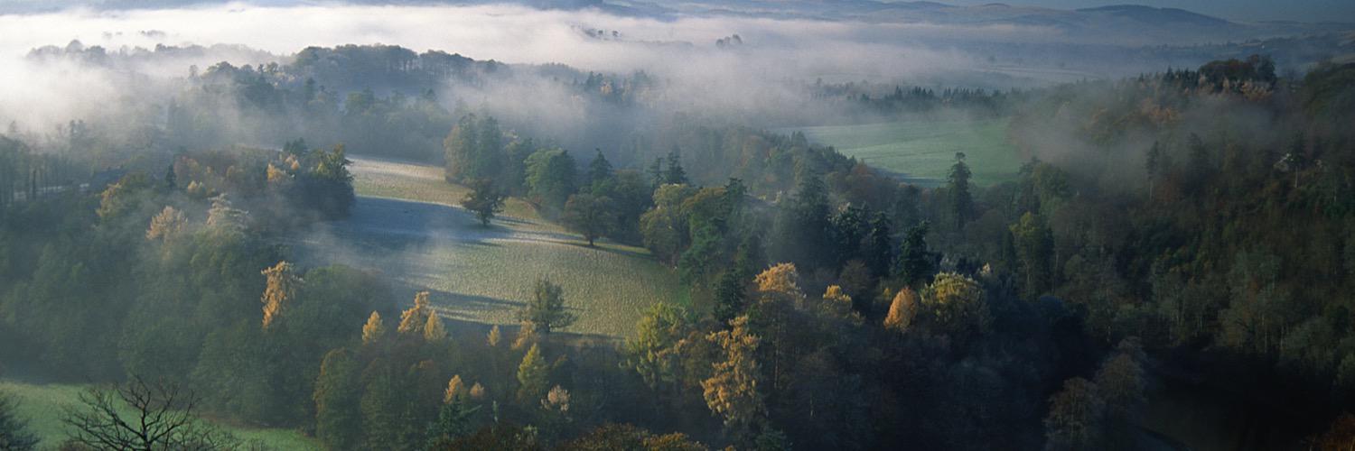 IndyReiver's profile banner image