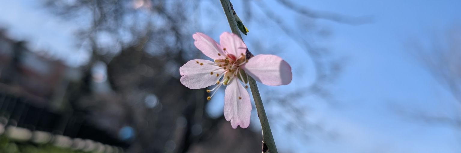Ximena Cabezas banner