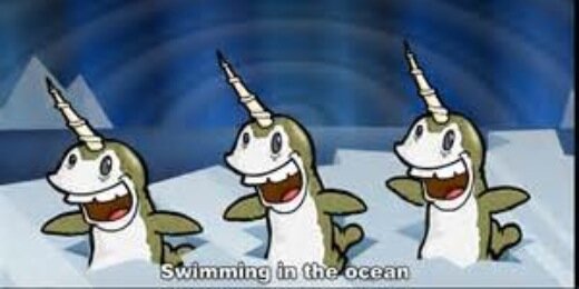 flyingnarwhals1's profile banner image
