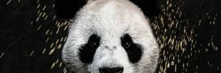 onosman4's profile banner image