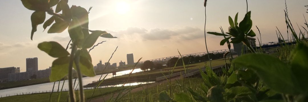 knapori's profile banner image