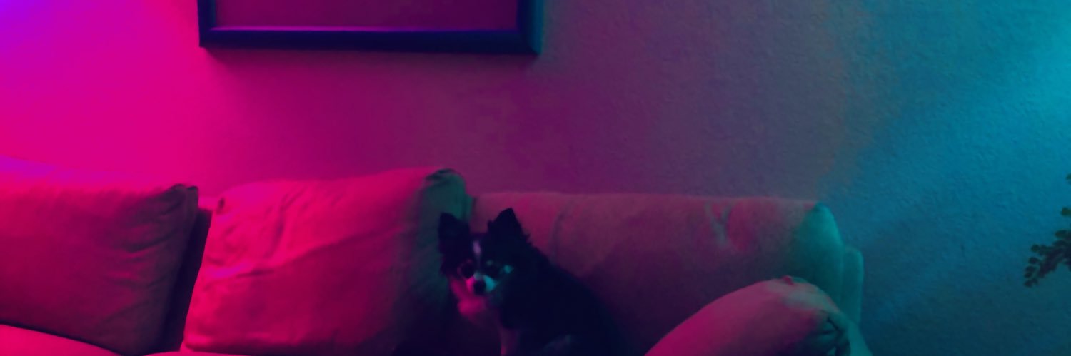 SC_Beaux's profile banner image