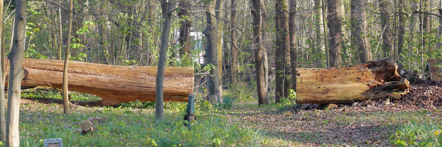 kees van der hoeven banner