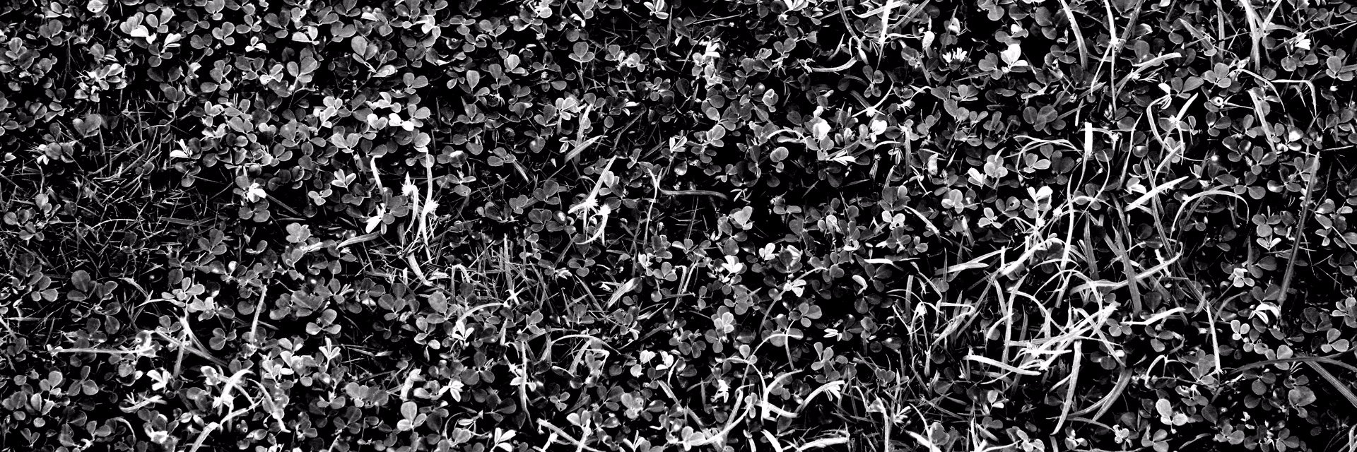 _MH04's profile banner image