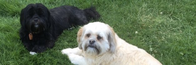 calooper2024🏴󠁧󠁢󠁳󠁣󠁴󠁿🏴󠁧󠁢󠁳󠁣󠁴󠁿 banner