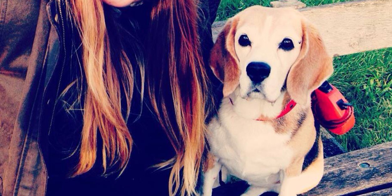 PoppyDogBeagle's profile banner image