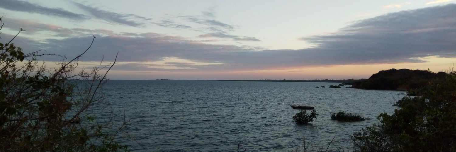 fabbiefwema's profile banner image