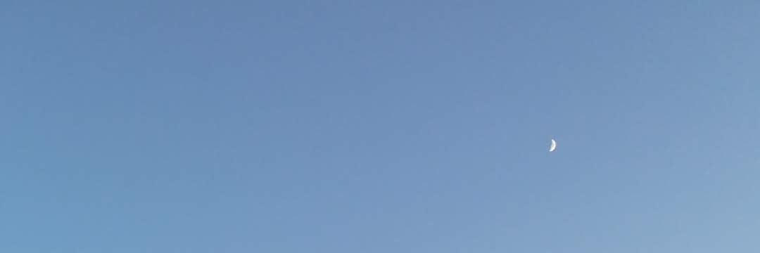 niseladbc's profile banner image