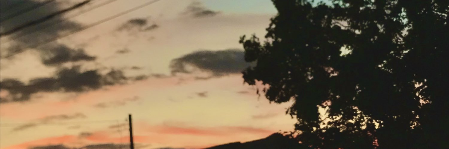 capivaralbinea's profile banner image