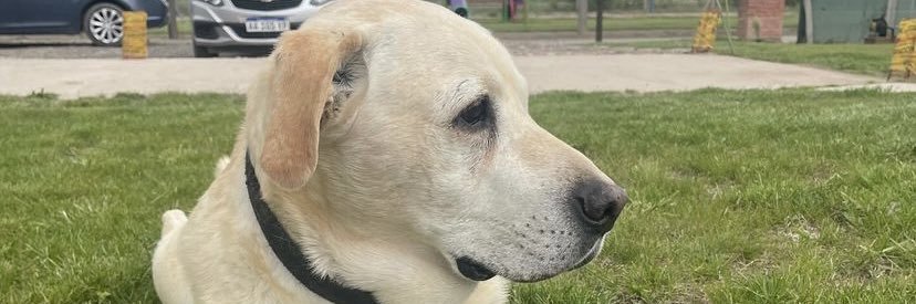 TorresMF's profile banner image