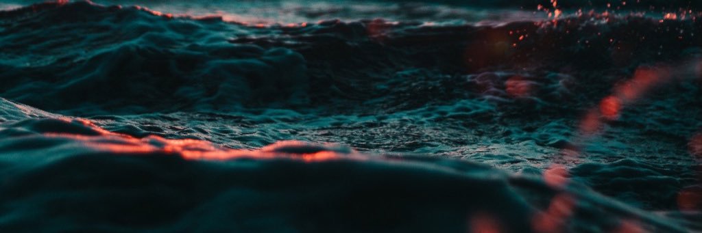ZoeRuiz9's profile banner image