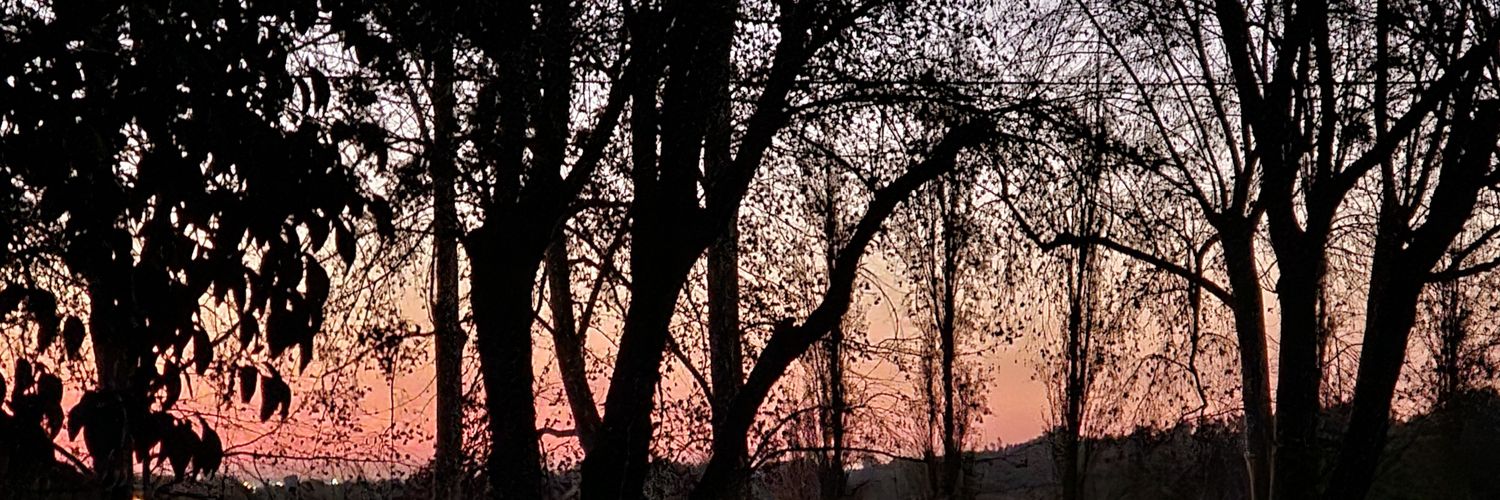 botoulas's profile banner image