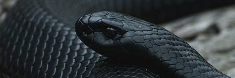 Roller_7's profile banner image