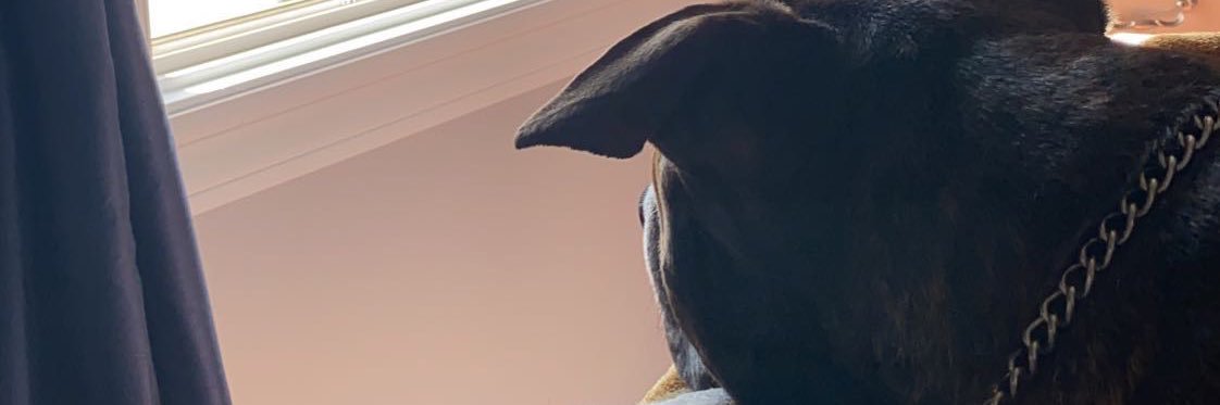 rachellmiley's profile banner image