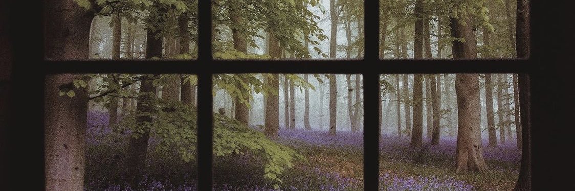 LMills_'s profile banner image